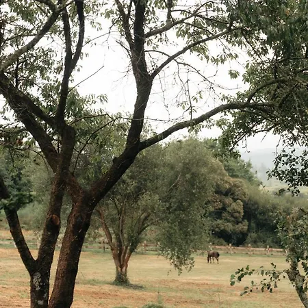 Casa De La Pradera Vakantiehuis *