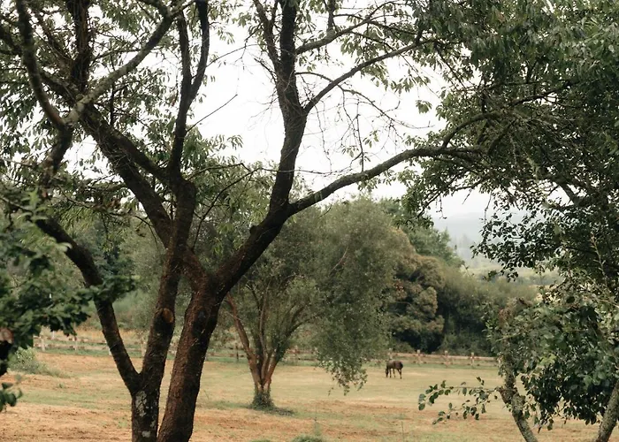 Casa De La Pradera Tatil Evi *