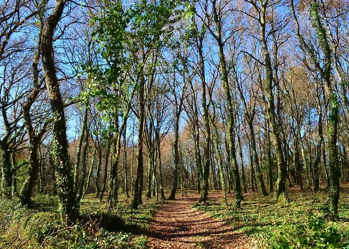Casa De La Pradera Tatil Evi *